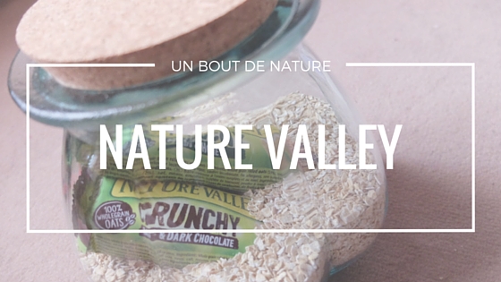 nature-valley-cereales - copie