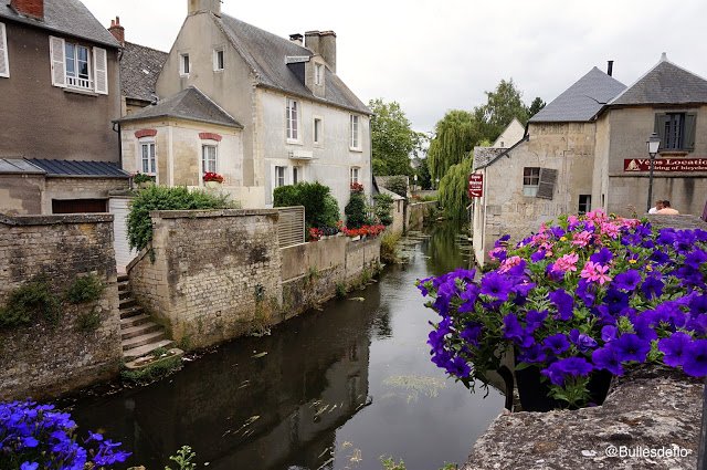 bayeux-fleurs