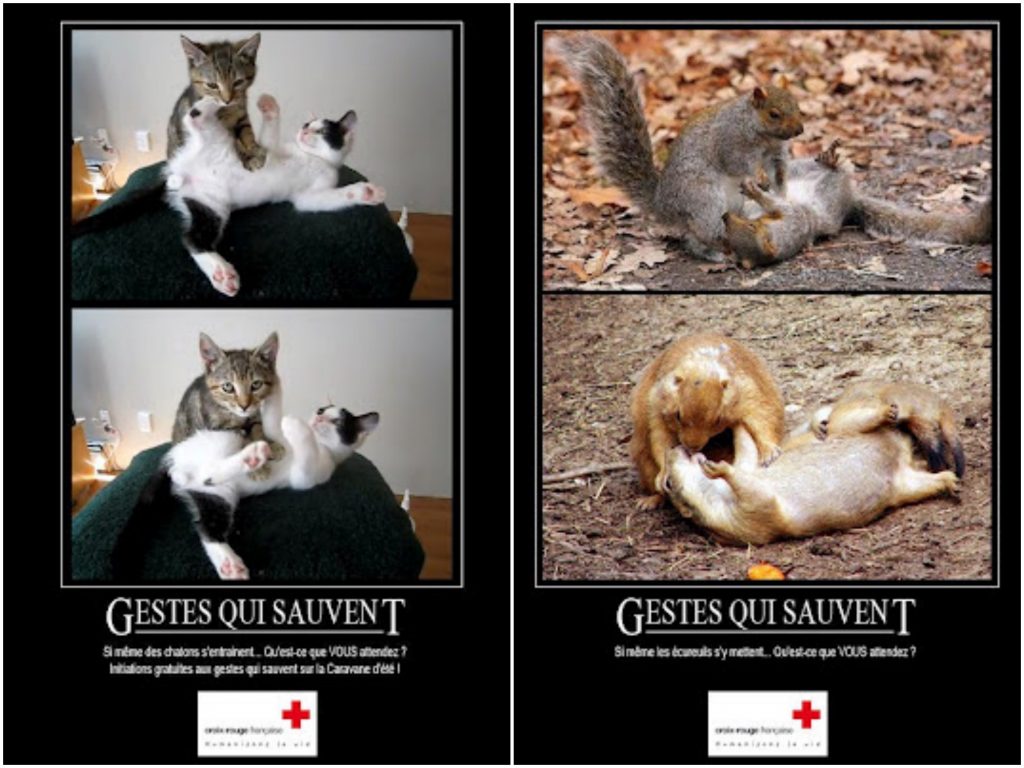 gestes-qui-sauvent