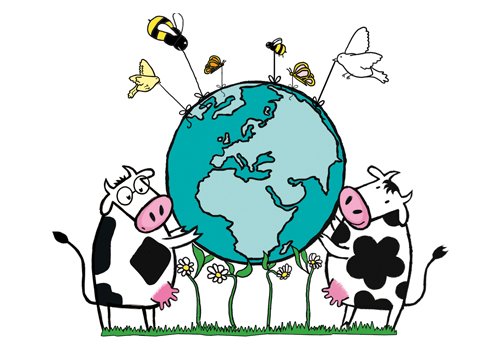 les-2-vaches
