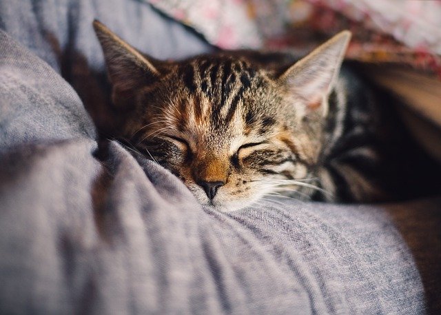 La fatigue