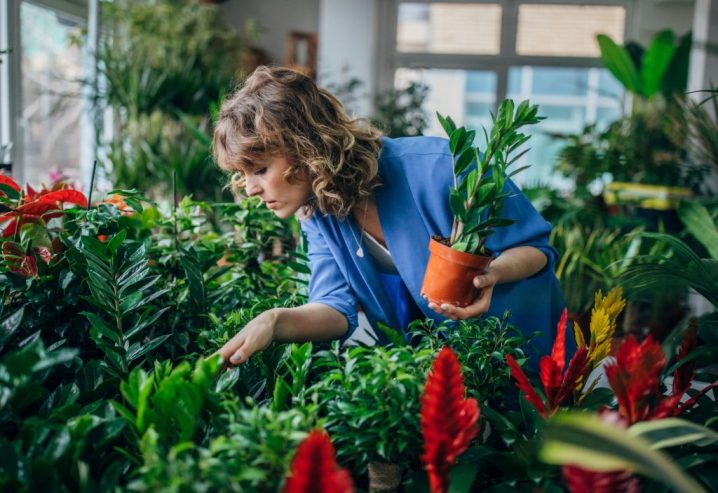 Une femme achetant des plantes d'intérieur